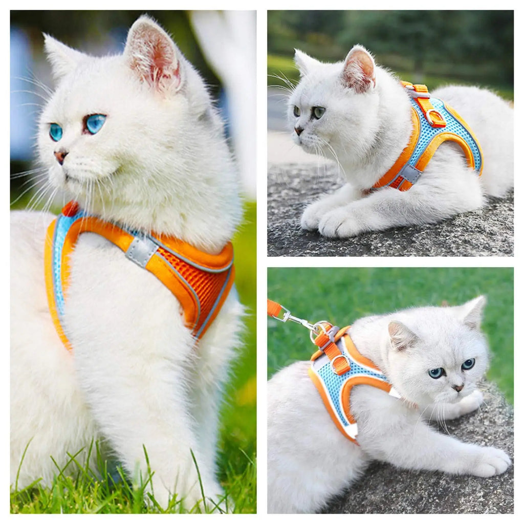 Reflective Adjustable Pet Harness & Leash Set – For Cats & Small Dogs