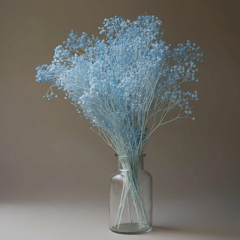 Natural Preserved Dried Baby’s Breath Flowers – Decorative Gypsophila Bouquet