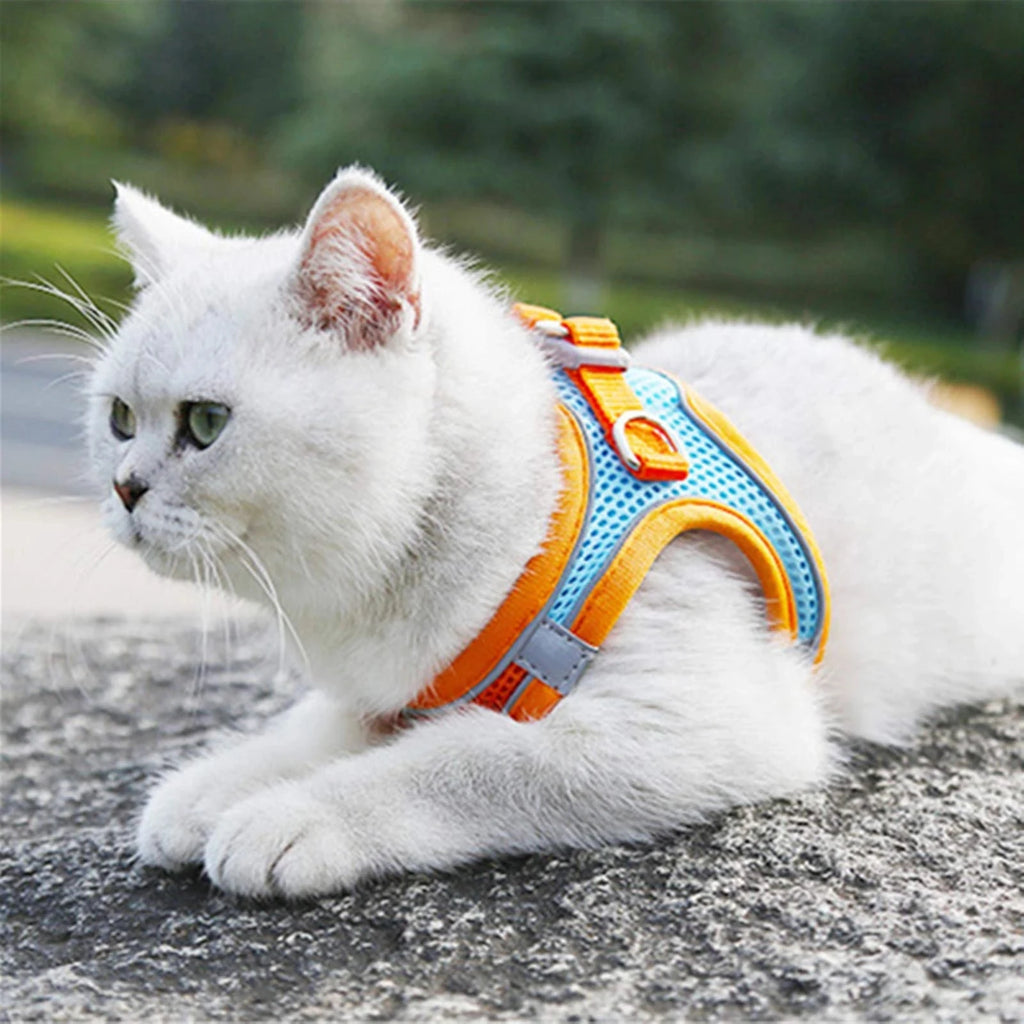 Reflective Adjustable Pet Harness & Leash Set – For Cats & Small Dogs
