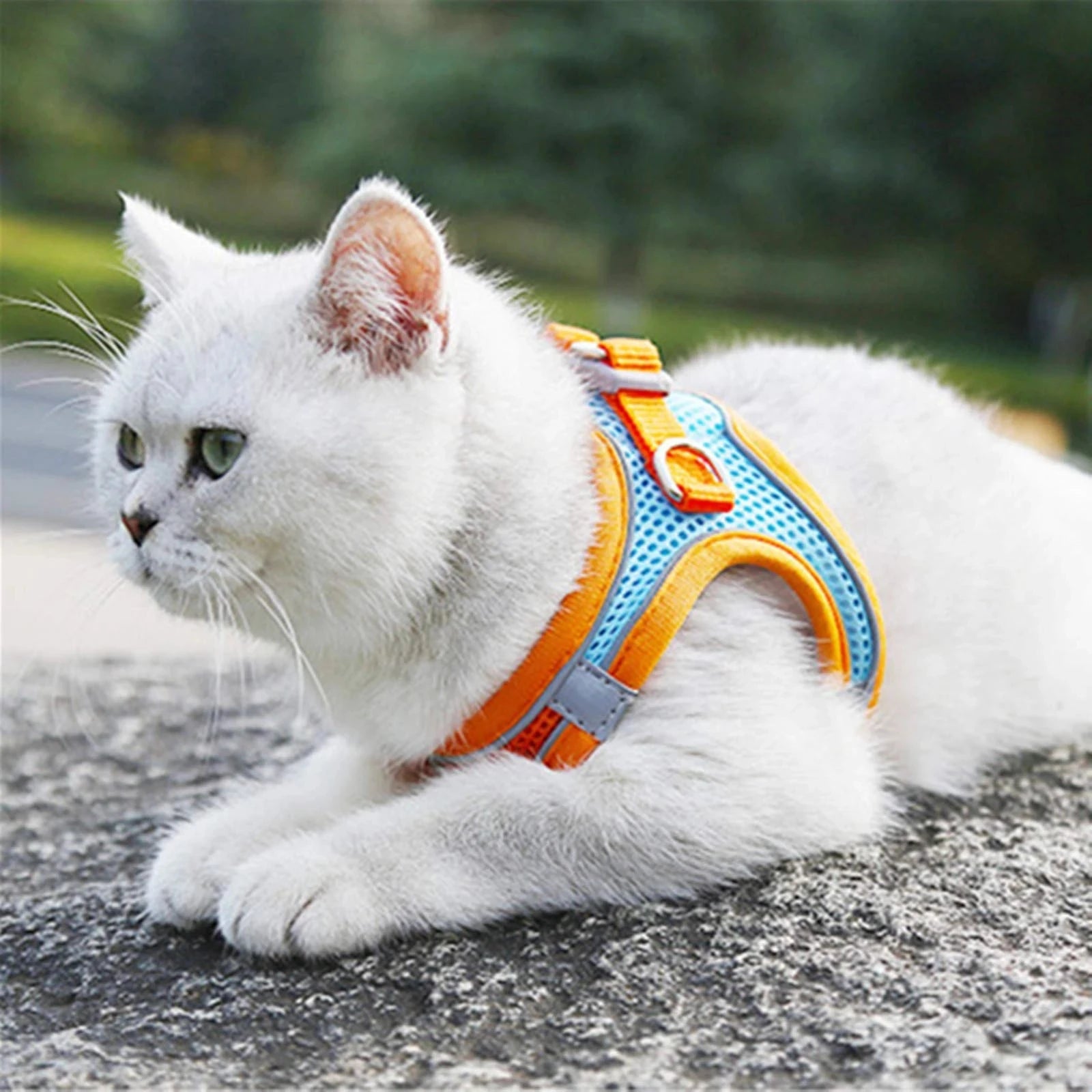 Reflective Adjustable Pet Harness & Leash Set – For Cats & Small Dogs