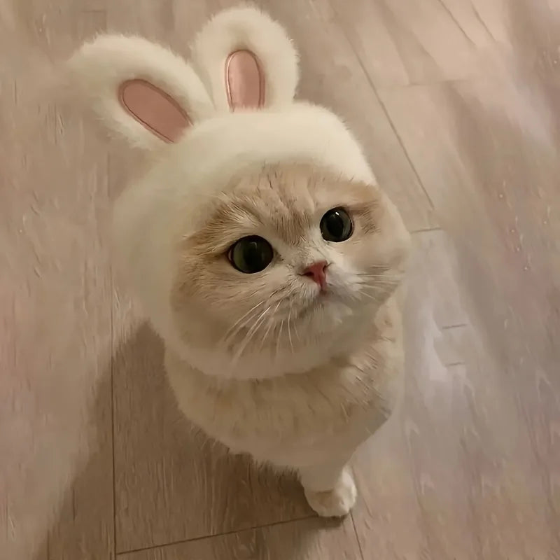 Bunny Ears Pet Hat – Cute Knit Costume for Cats & Small Dogs