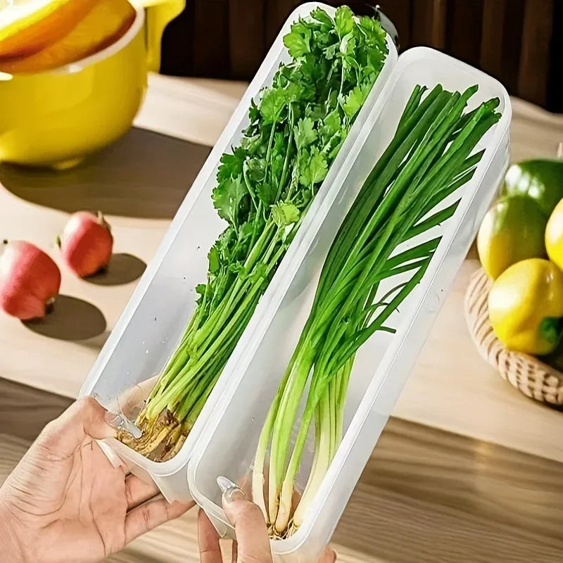 Refrigerator Fresh-Keeping Storage Boxes – Transparent Airtight Food Containers