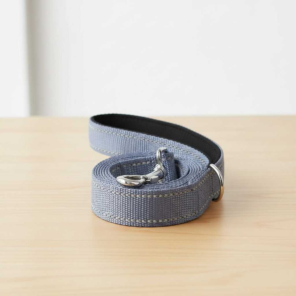 Reflective Pet Leash – Adjustable Walking & Training Lead for Dogs & Cats