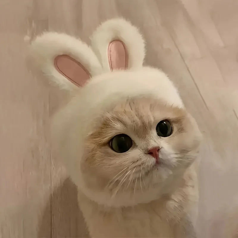 Bunny Ears Pet Hat – Cute Knit Costume for Cats & Small Dogs