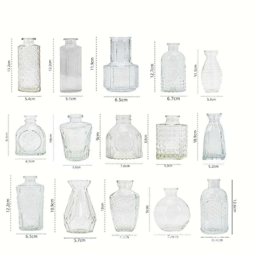 Mini Glass Vase Set – Transparent Hydroponic Flower Vases for Floral Arrangements & Home Decor