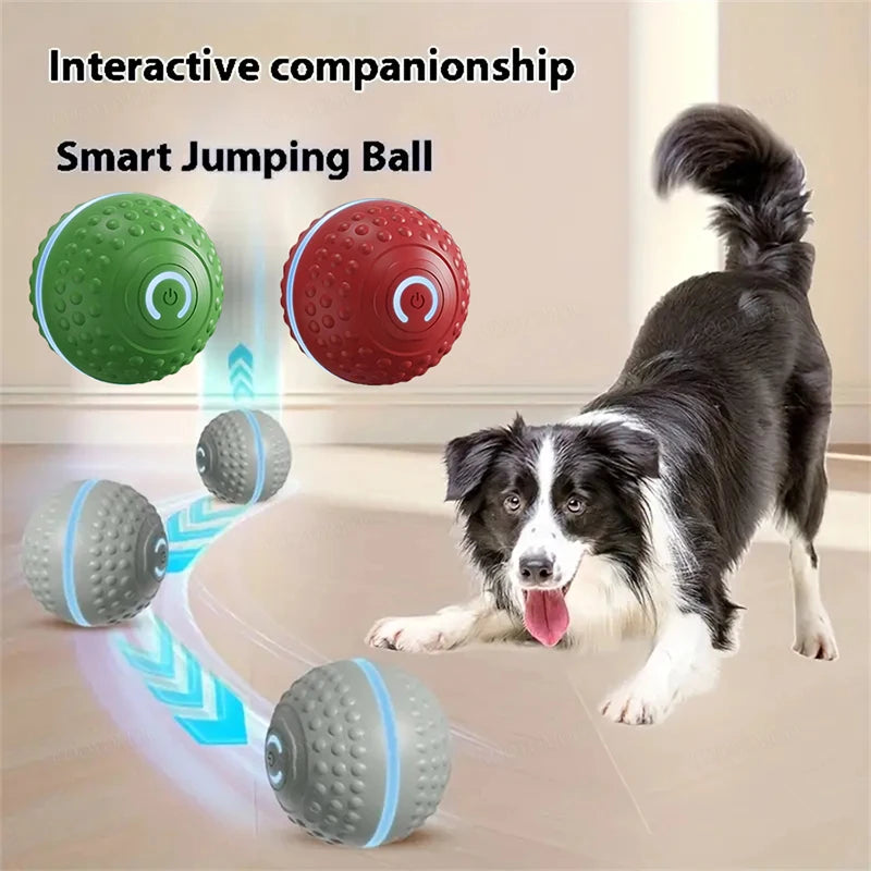 Smart Automatic Rolling Dog Ball – USB Rechargeable Interactive Pet Toy