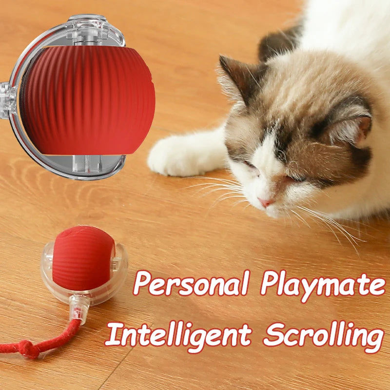 Automatic Interactive Rolling Ball with Faux Tail – Rechargeable Smart Cat & Dog Toy