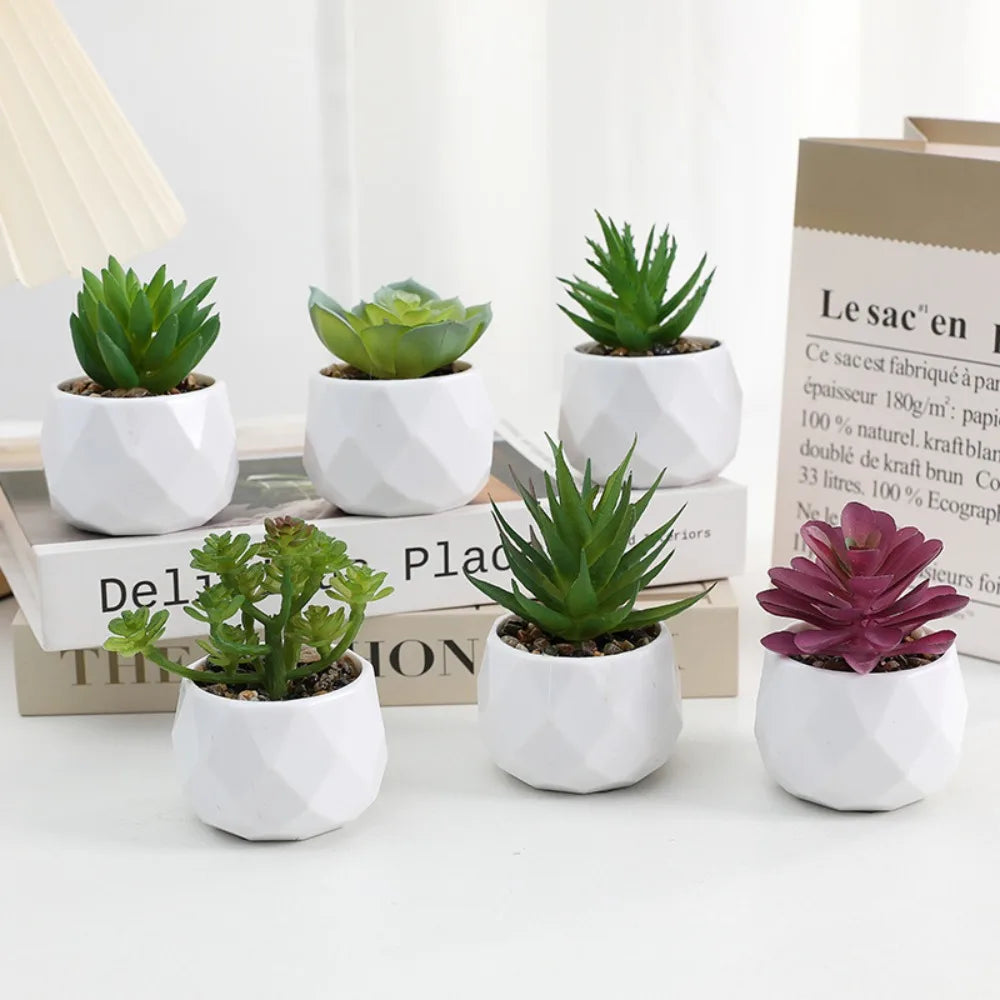 Artificial Succulent Bonsai Plant – Mini Decorative Fake Cactus & Succulent