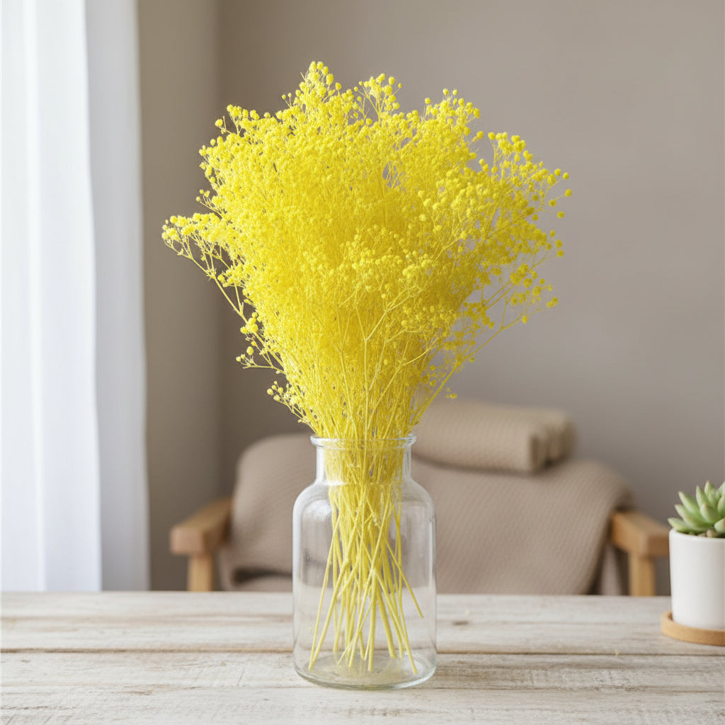 Natural Preserved Dried Baby’s Breath Flowers – Decorative Gypsophila Bouquet