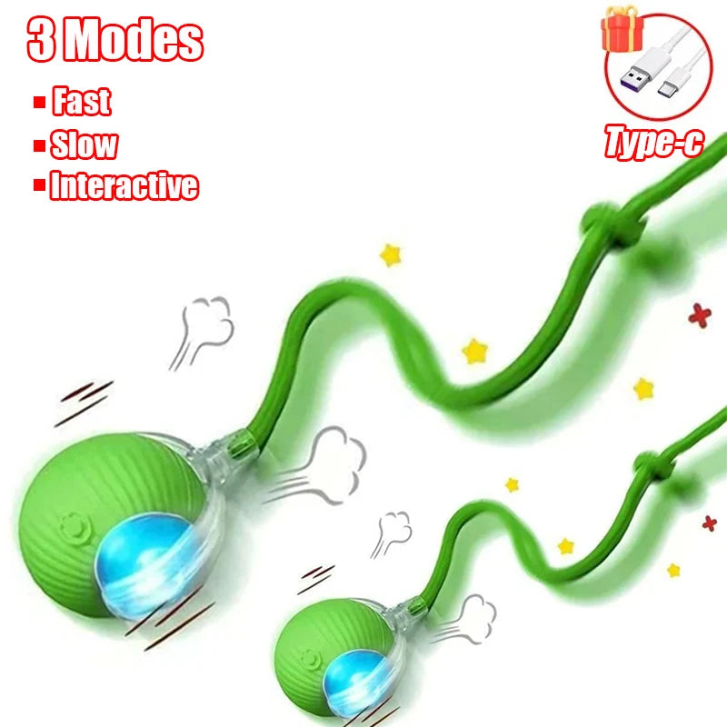 Automatic Interactive Rolling Ball with Faux Tail – Rechargeable Smart Cat & Dog Toy