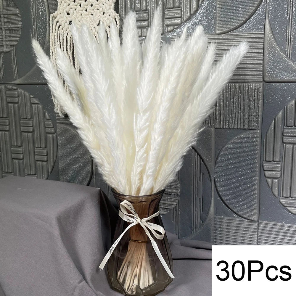 Natural Pampas Grass Bouquet – Boho Bunny Tail Dried Flower Décor