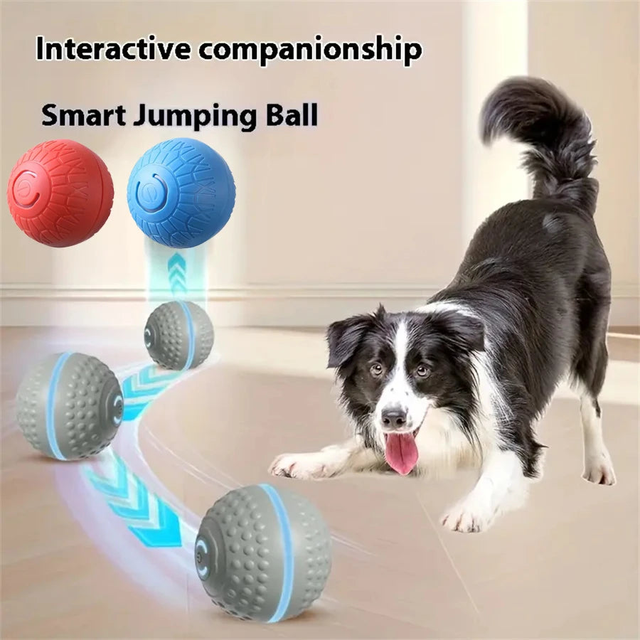 Smart Automatic Rolling Dog Ball – USB Rechargeable Interactive Pet Toy