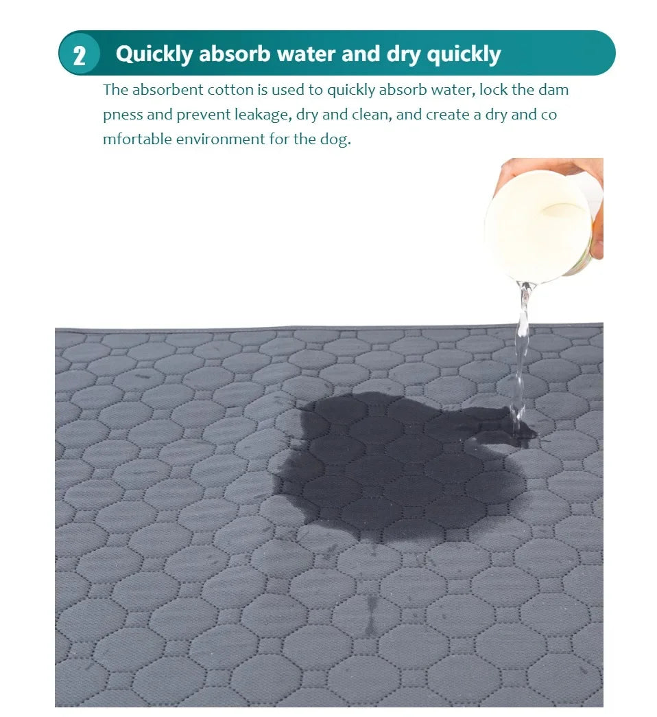 Reusable Washable Dog Pee Pad – Absorbent Pet Training & Protection Mat