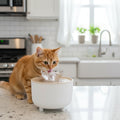 Pets Water Fountain Auto Filter USB Electric Mute Cat Drinker Bowl 1200mL Recirculate Filtring Drinker for Cats Water Dispenser