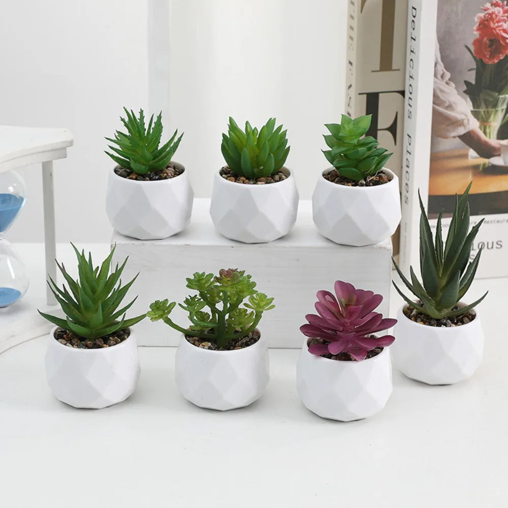 Artificial Succulent Bonsai Plant – Mini Decorative Fake Cactus & Succulent