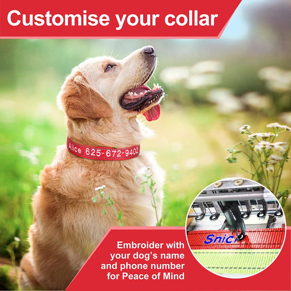 Personalized Embroidered Reflective Dog & Cat Collar – Custom Name & Phone ID