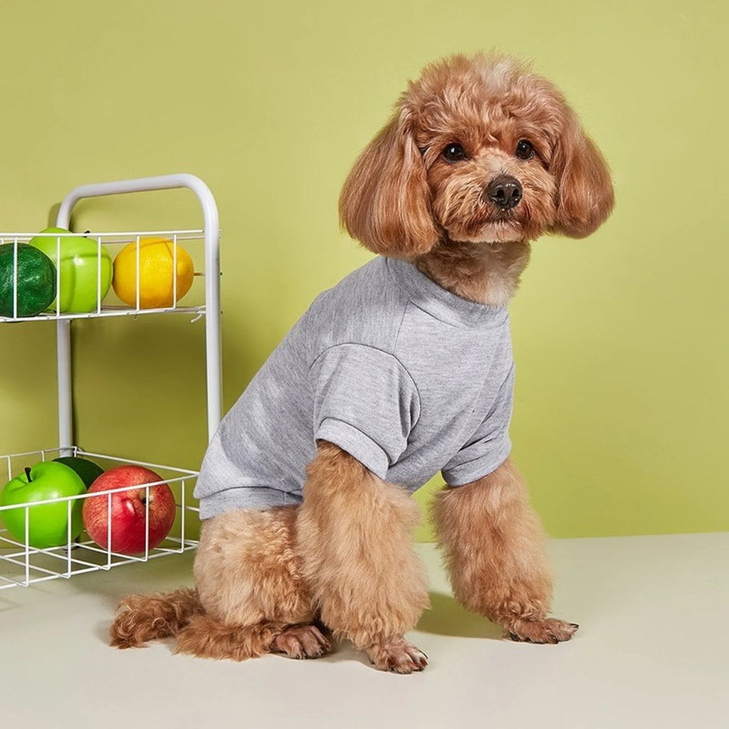 Breathable Dog T-Shirt – Lightweight Summer Vest for Dogs
