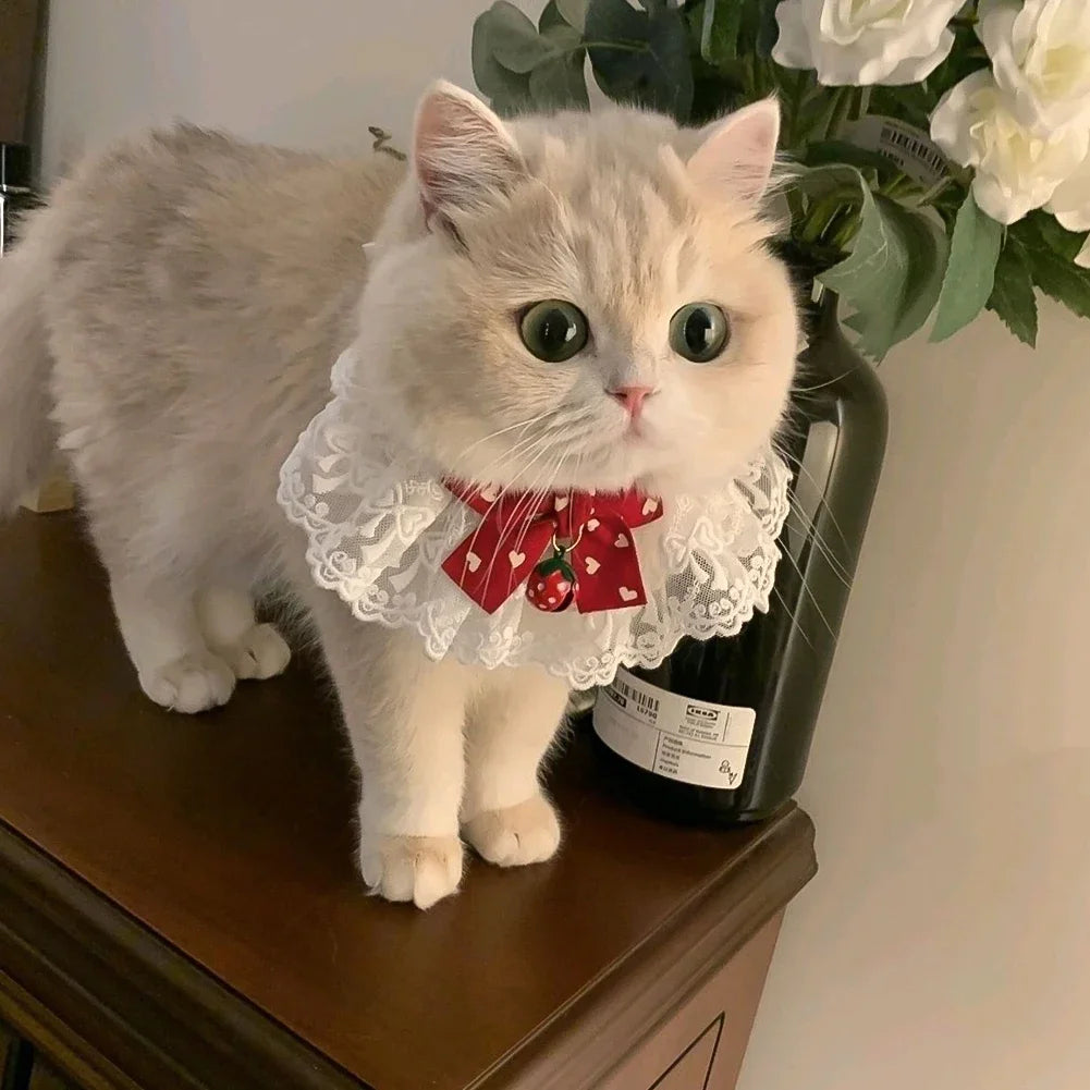 Elegant Lace Pearl Pet Collar with Bow – Adjustable Neck Scarf for Cats & Dogs