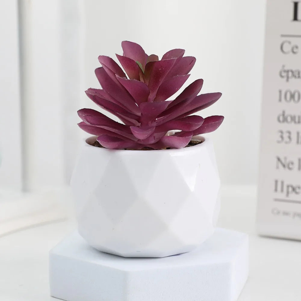 Artificial Succulent Bonsai Plant – Mini Decorative Fake Cactus & Succulent