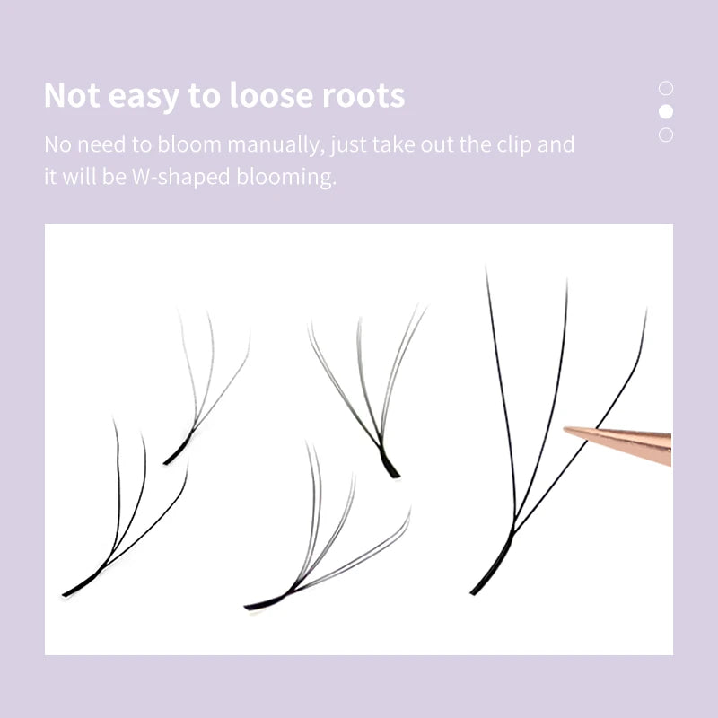 Extensions de cils en forme de W – Cils Bloom prémontés 3D, 4D, 5D, 6D, 7D, 8D, naturels et doux – Éventails d’extensions de cils