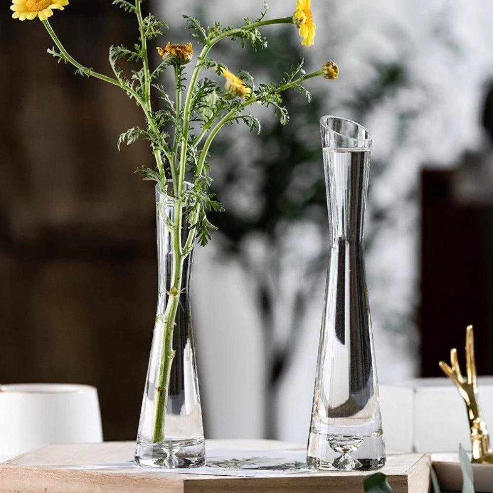 Elegant Slanted Glass Vase – European Style Hydroponic Flower Vase for Home Decor