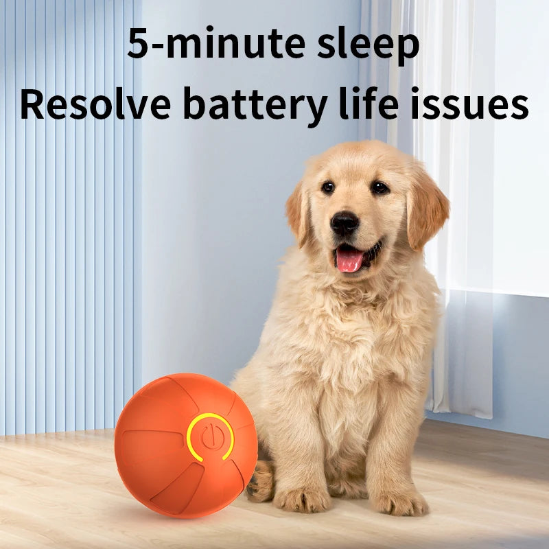 Smart Automatic Rolling Dog Ball – USB Rechargeable Interactive Pet Toy