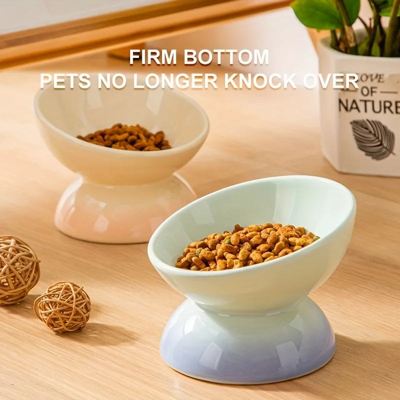 2-Pack Elevated Pet Bowls – 15° Tilted Feeding Bowls for Cats & Small Dogs