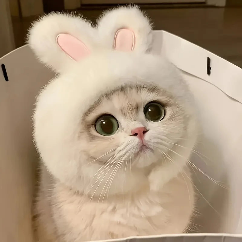 Bunny Ears Pet Hat – Cute Knit Costume for Cats & Small Dogs