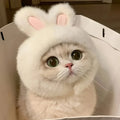 Bunny Ears Pet Hat – Cute Knit Costume for Cats & Small Dogs