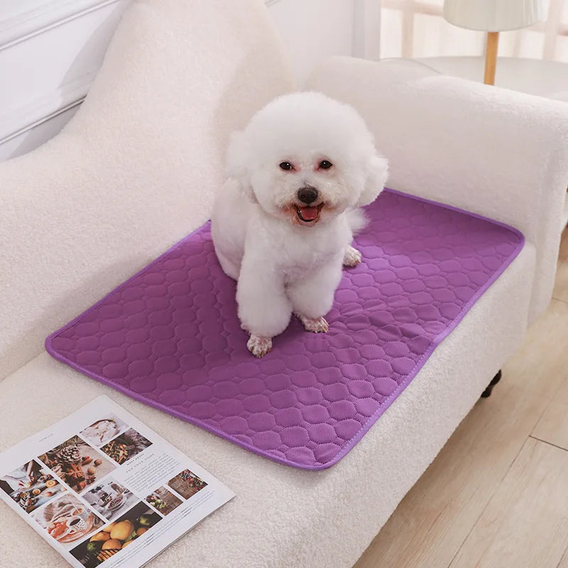 Reusable Washable Dog Pee Pad – Absorbent Pet Training & Protection Mat