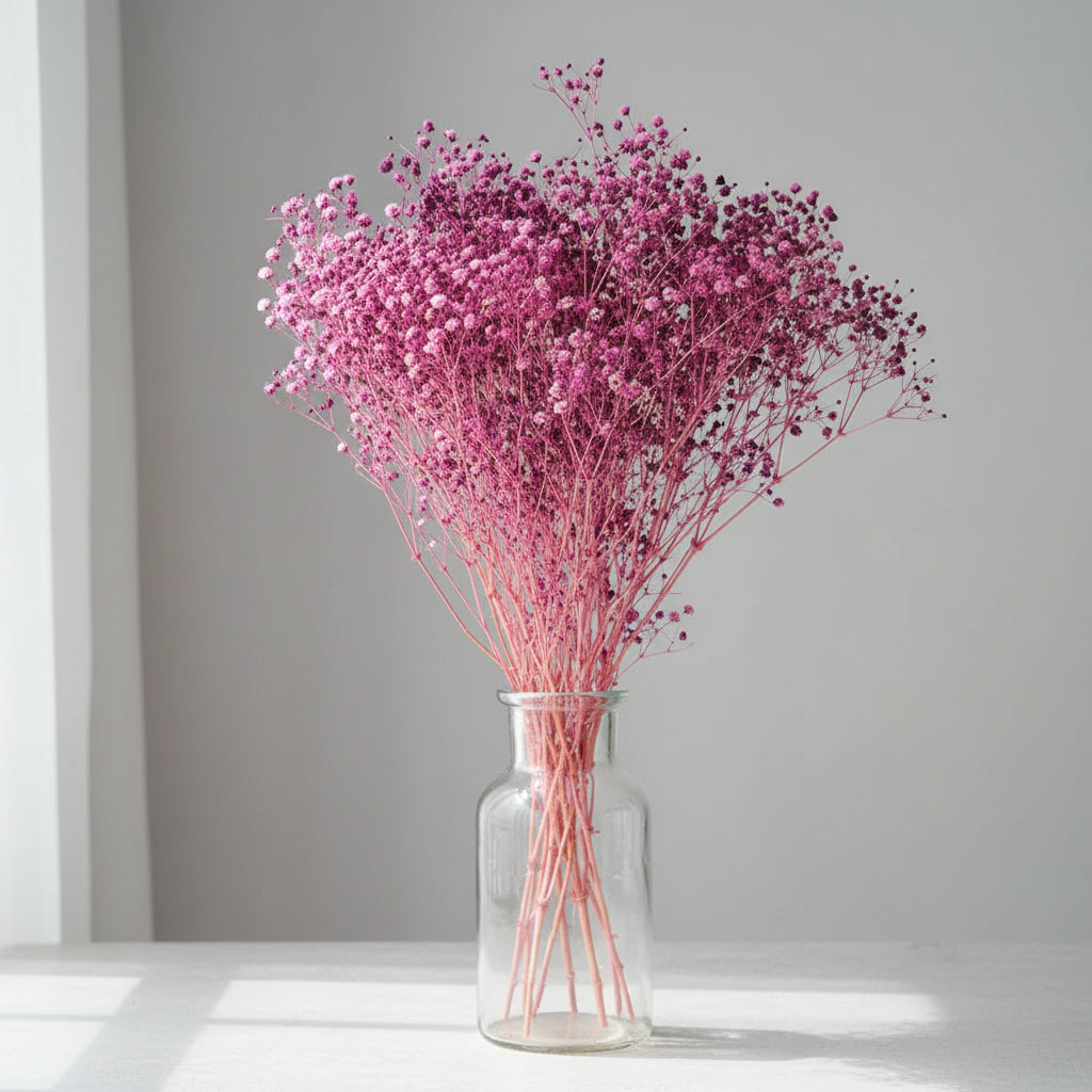 Natural Preserved Dried Baby’s Breath Flowers – Decorative Gypsophila Bouquet