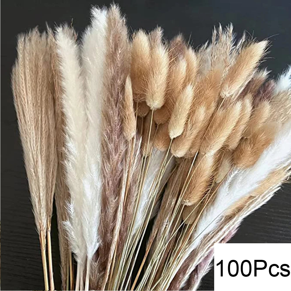 Natural Pampas Grass Bouquet – Boho Bunny Tail Dried Flower Décor