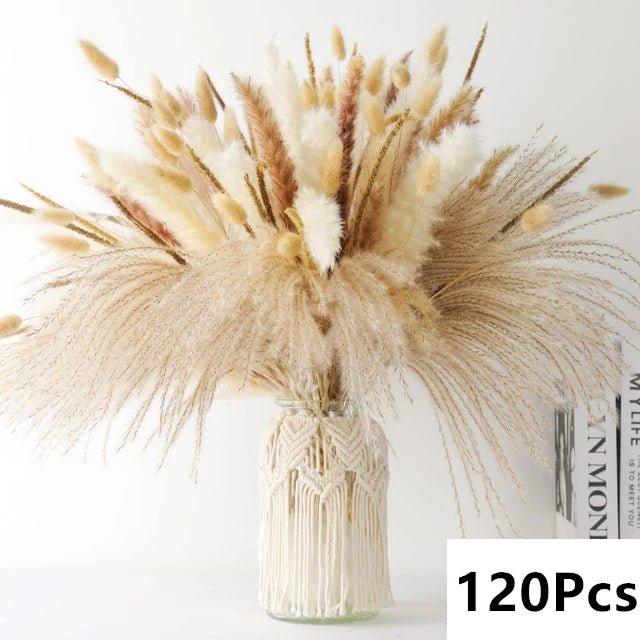 Natural Pampas Grass Bouquet – Boho Bunny Tail Dried Flower Décor