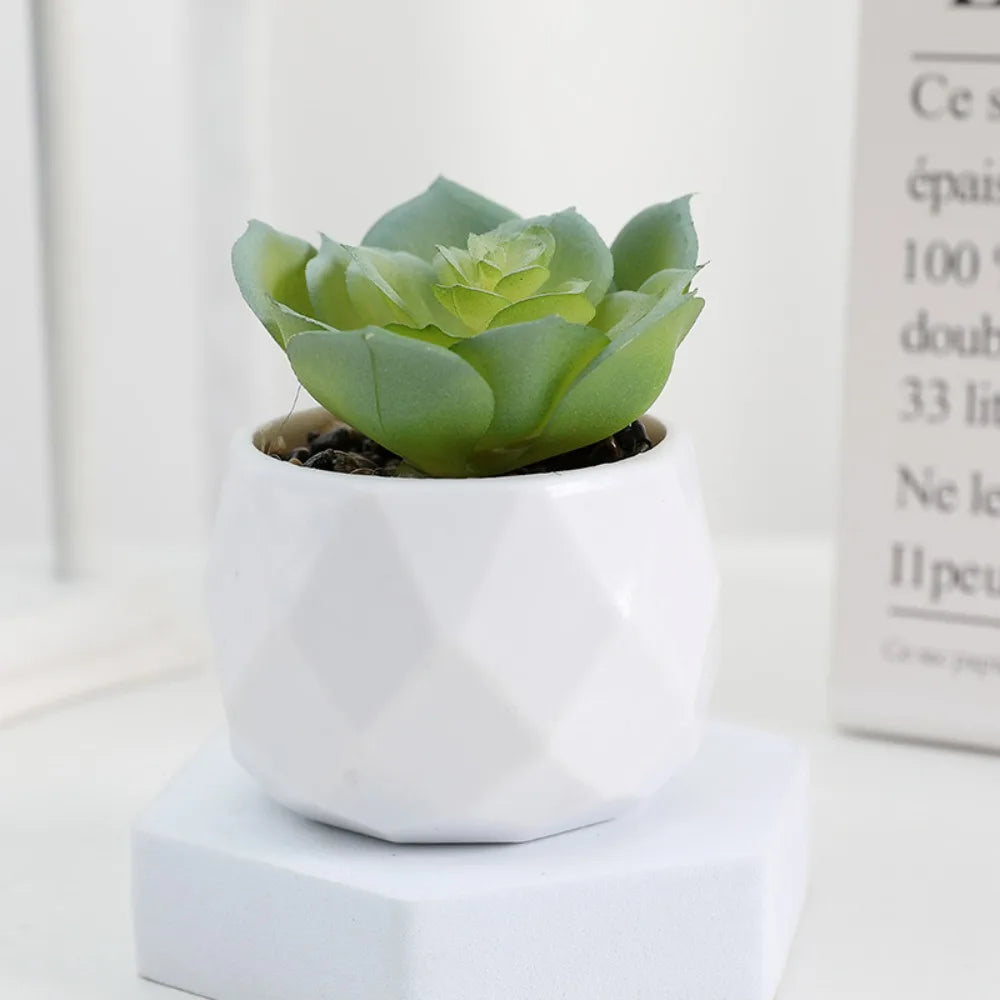 Artificial Succulent Bonsai Plant – Mini Decorative Fake Cactus & Succulent