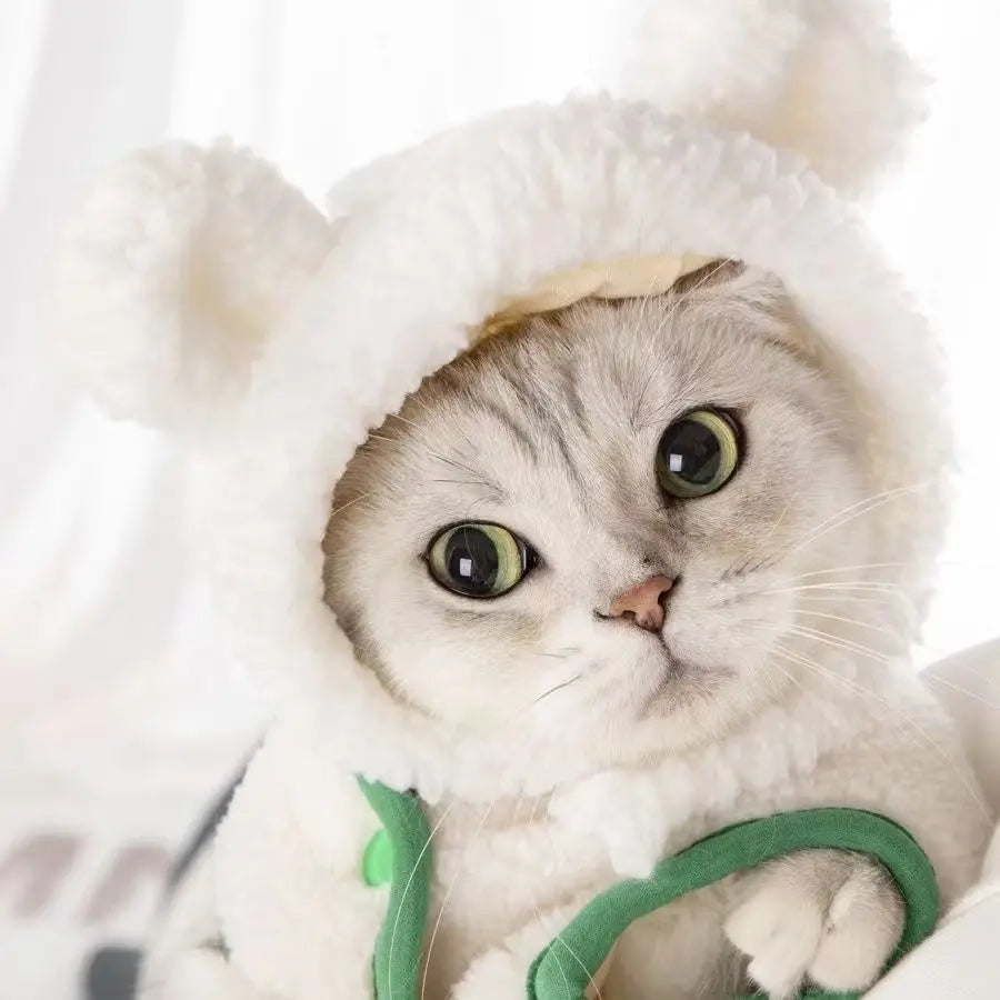 Cute Bear & Bunny Hooded Pet Hat – Soft Velvet Winter Costume for Cats & Dogs