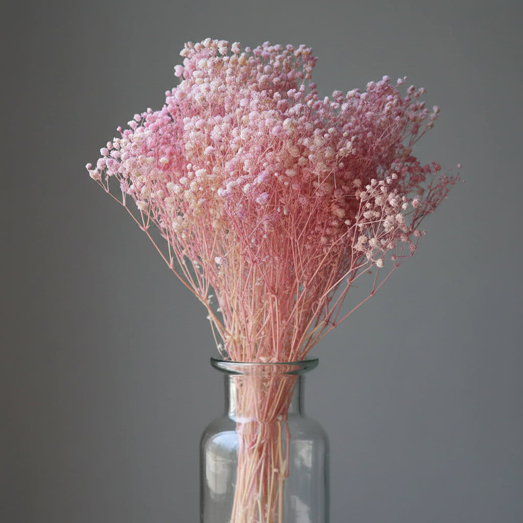 Natural Preserved Dried Baby’s Breath Flowers – Decorative Gypsophila Bouquet