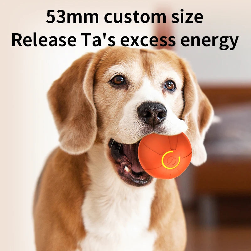 Smart Automatic Rolling Dog Ball – USB Rechargeable Interactive Pet Toy