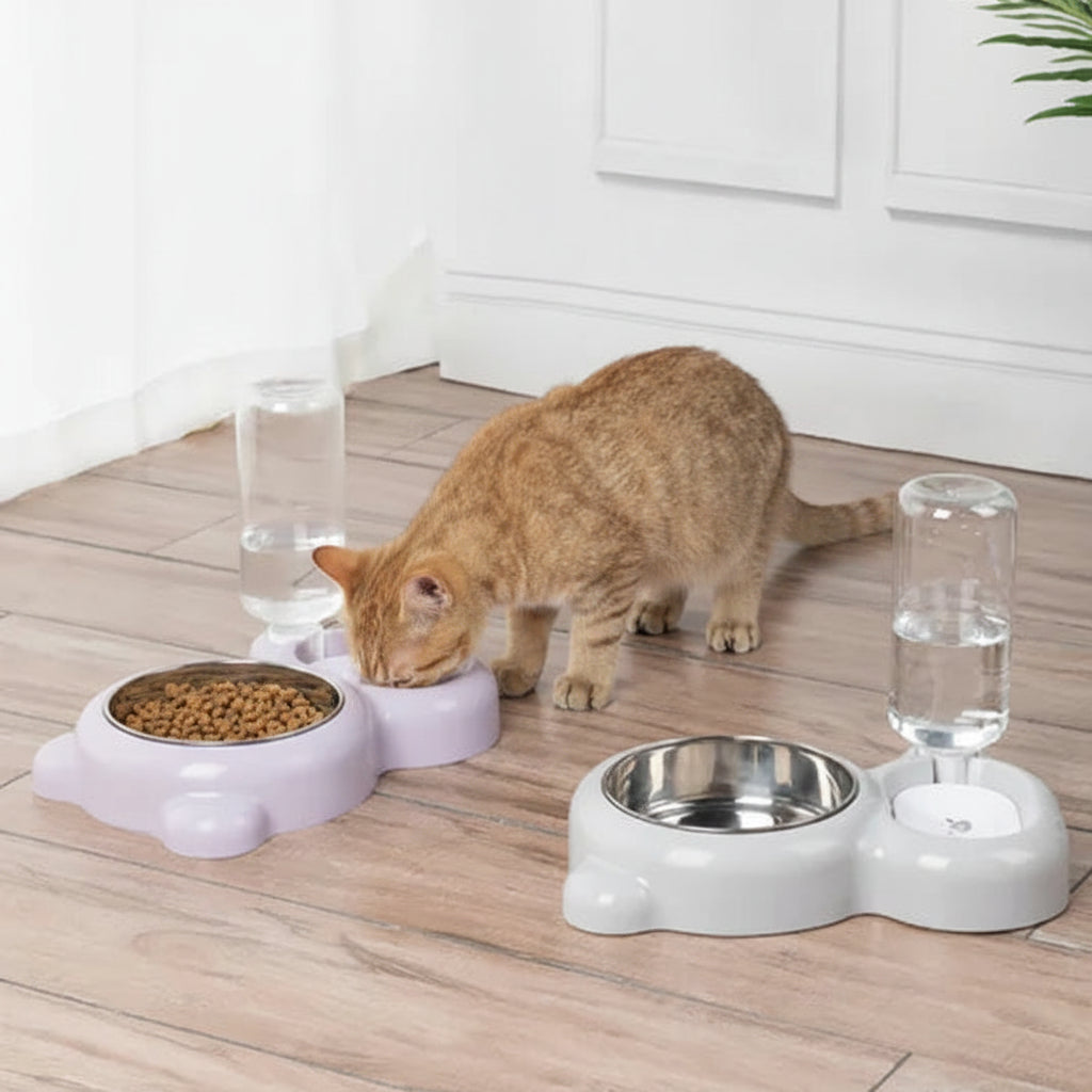 Automatic Pet Feeding & Water Bowl Set – Food Bowl with Water Dispenser