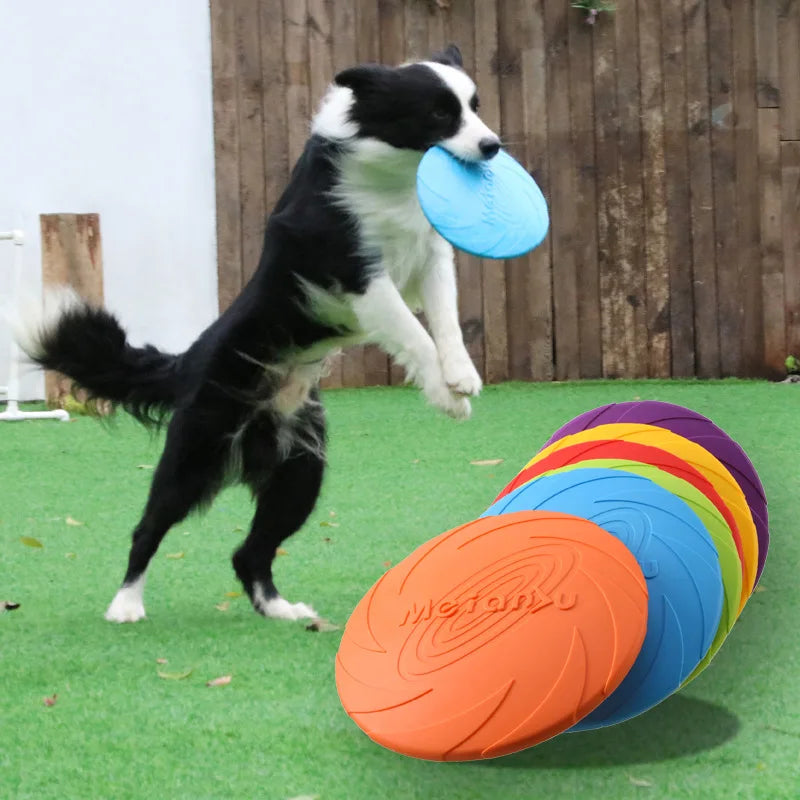 Bite-resistant Dog Flying Disc – Interactive Training & Fetch Toy