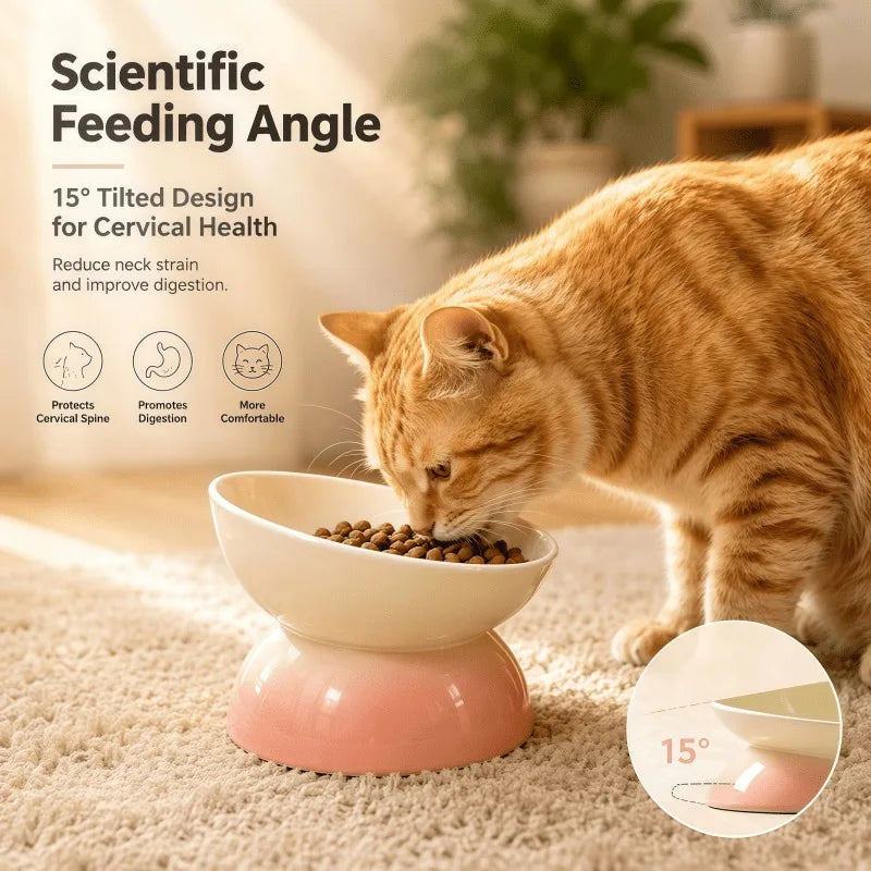 2-Pack Elevated Pet Bowls – 15° Tilted Feeding Bowls for Cats & Small Dogs
