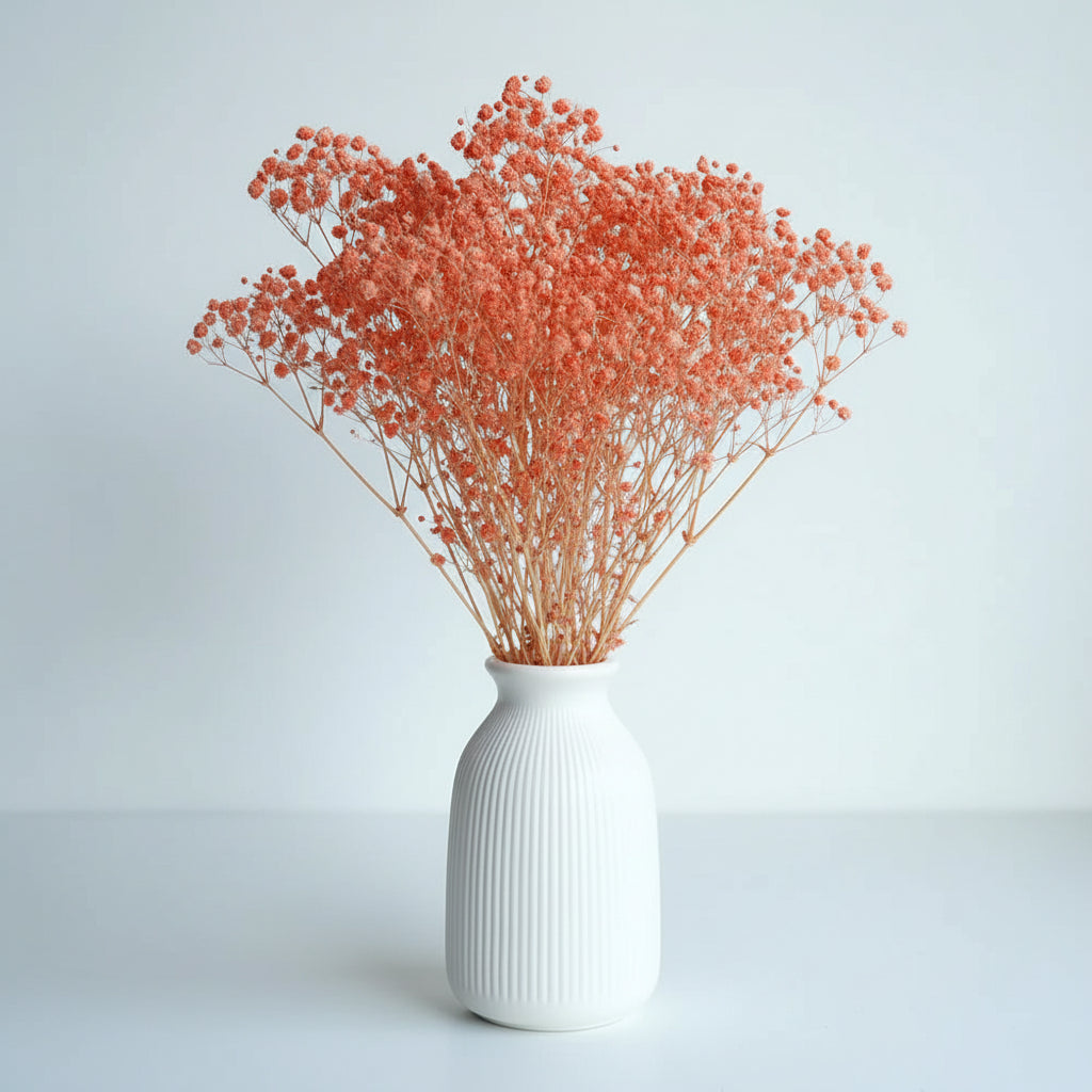 Natural Preserved Dried Baby’s Breath Flowers – Decorative Gypsophila Bouquet