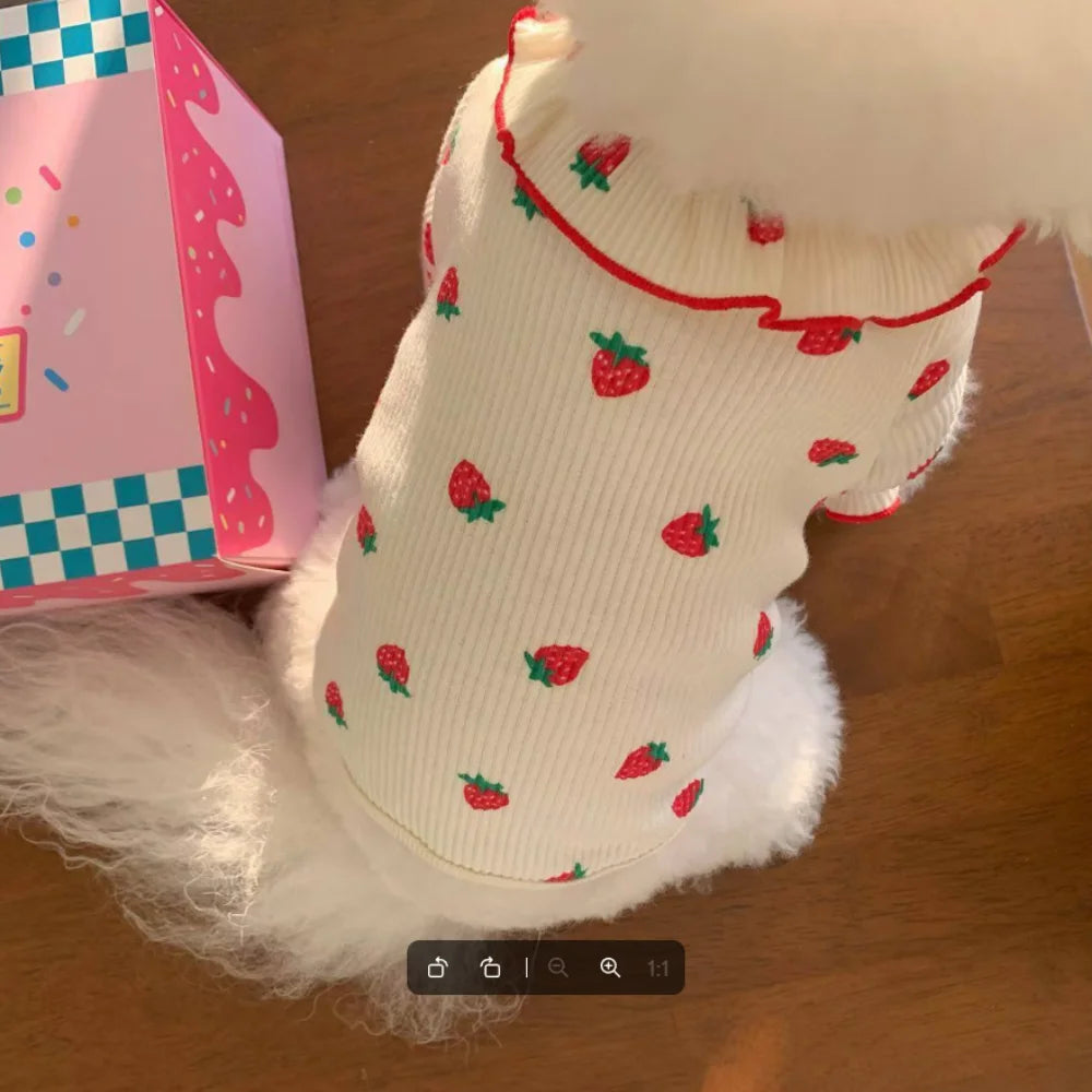 Strawberry Print Pet Dress – Cute Lace Summer Outfit for Small Dogs & Cats