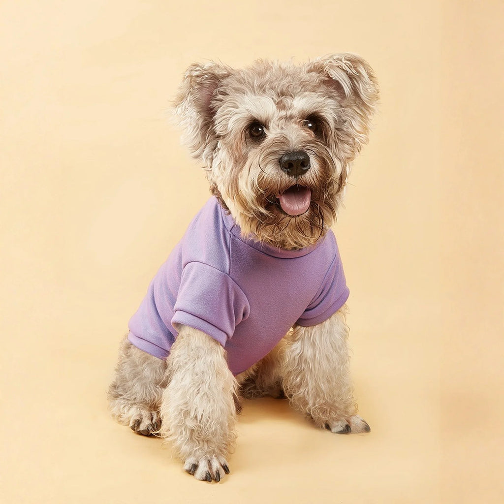 Breathable Dog T-Shirt – Lightweight Summer Vest for Dogs