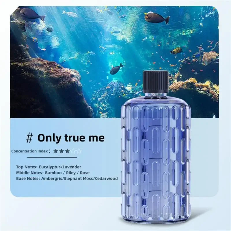 Essential Oil Aroma Diffuser – Fragrance Humidifier & Air Freshener for Home and Office