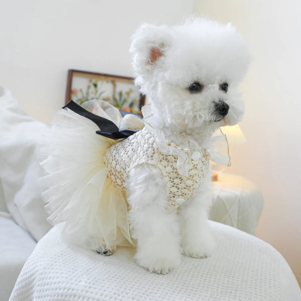 Luxury Pearl Lace Pet Wedding Dress – Coco Style Tutu for Small Dogs & Cats
