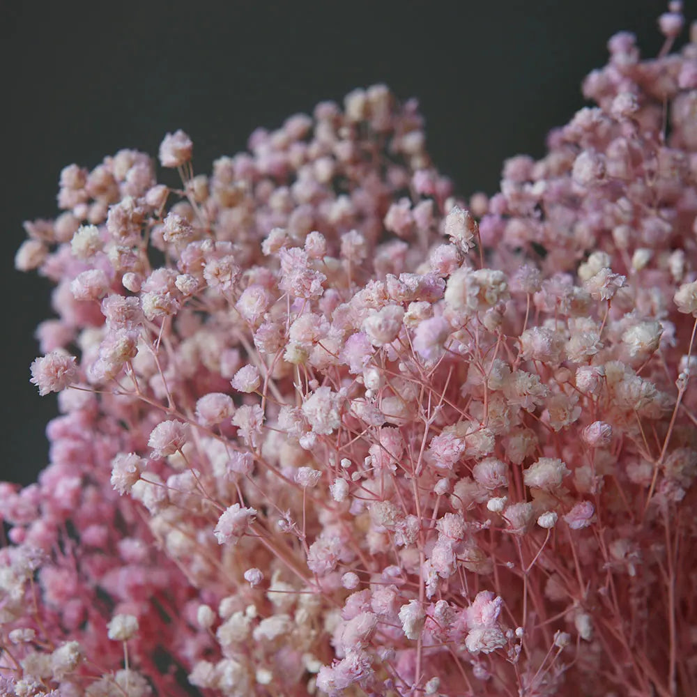 Natural Preserved Dried Baby’s Breath Flowers – Decorative Gypsophila Bouquet