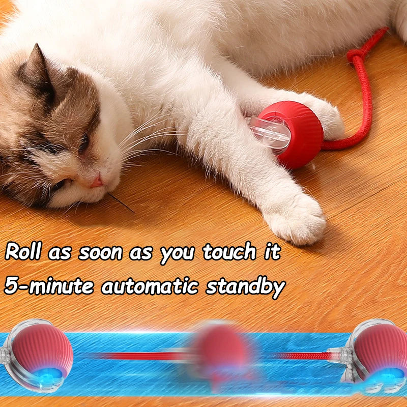 Automatic Interactive Rolling Ball with Faux Tail – Rechargeable Smart Cat & Dog Toy