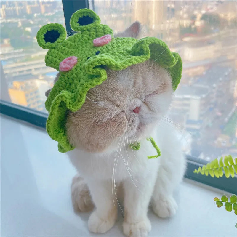 Cute Pet Beanie for Cats & Small Dogs – Winter Hat for Photos & Parties