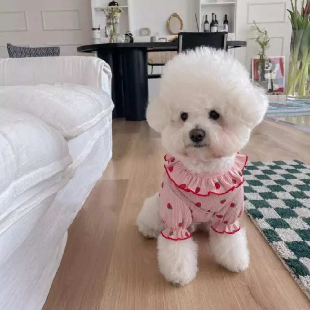 Strawberry Print Pet Dress – Cute Lace Summer Outfit for Small Dogs & Cats