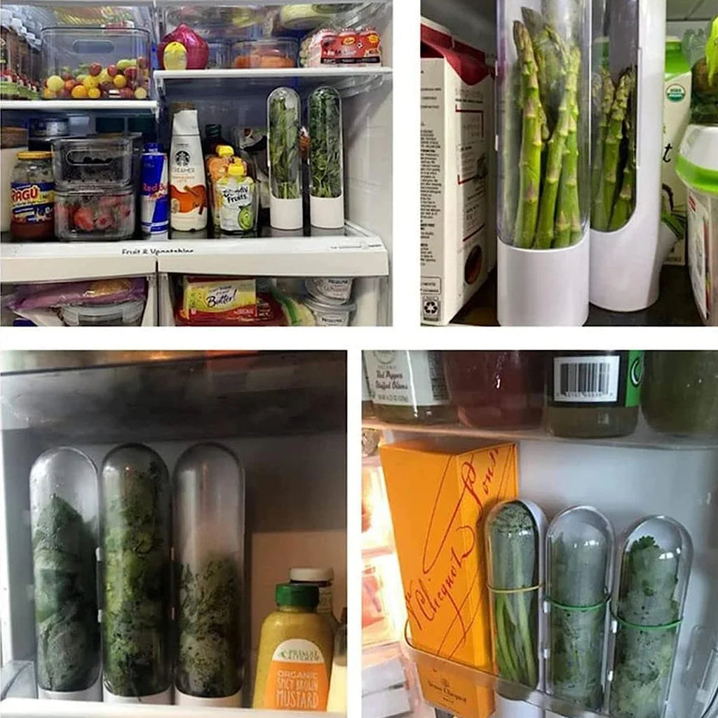 Fresh Herb Keeper Storage Container – Herb & Vegetable Preservation Bottle
